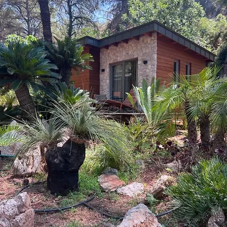 酒店 Ada Capra 马尔马里斯