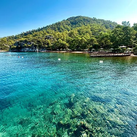 Ada Capra * 马尔马里斯