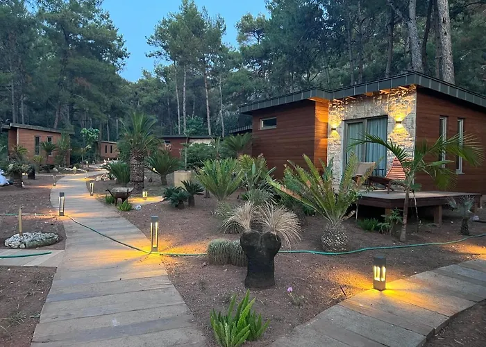 Ada Capra مرمريس